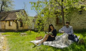 picnic in cloasterf