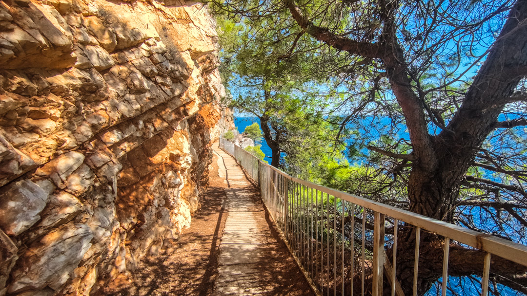 pasjaca beach croatia