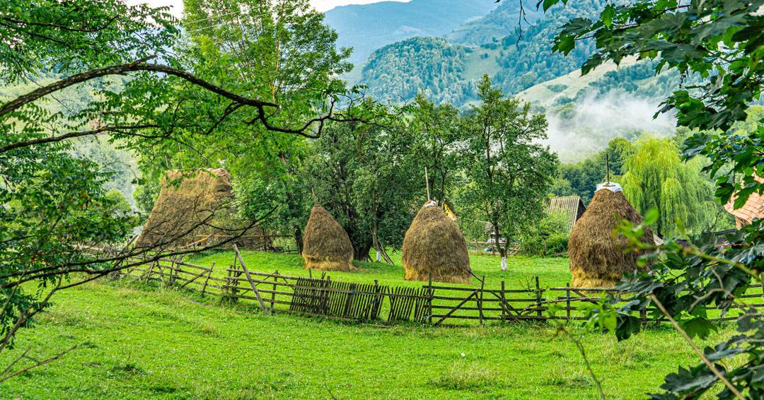 capite de fan transalpina de apuseni-