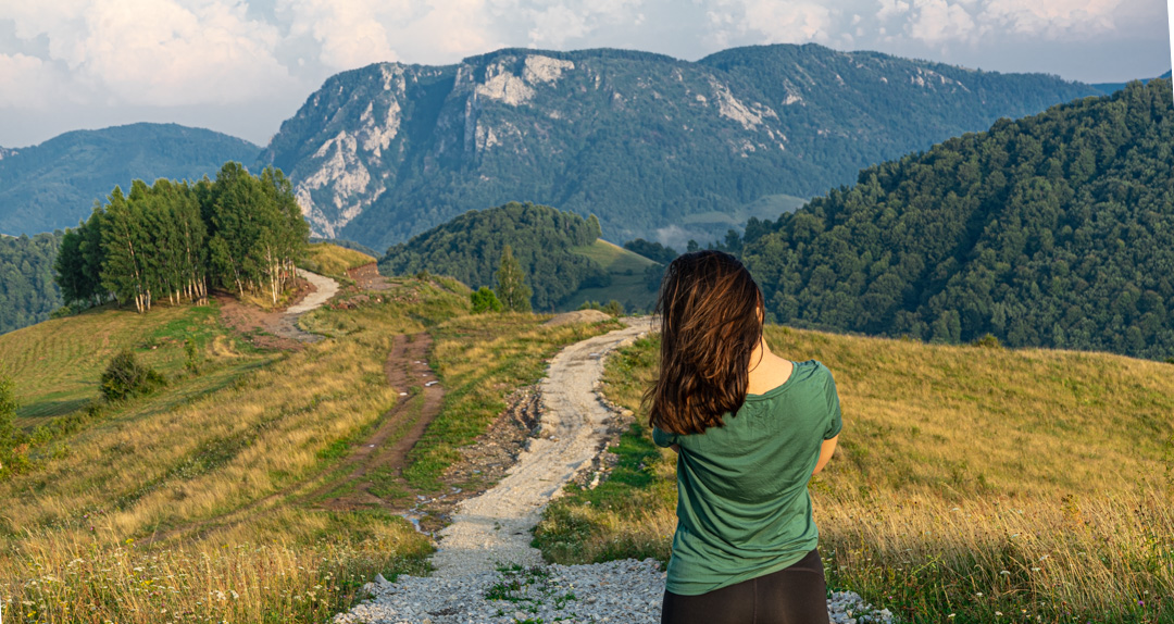 vedere transalpina de apuseni