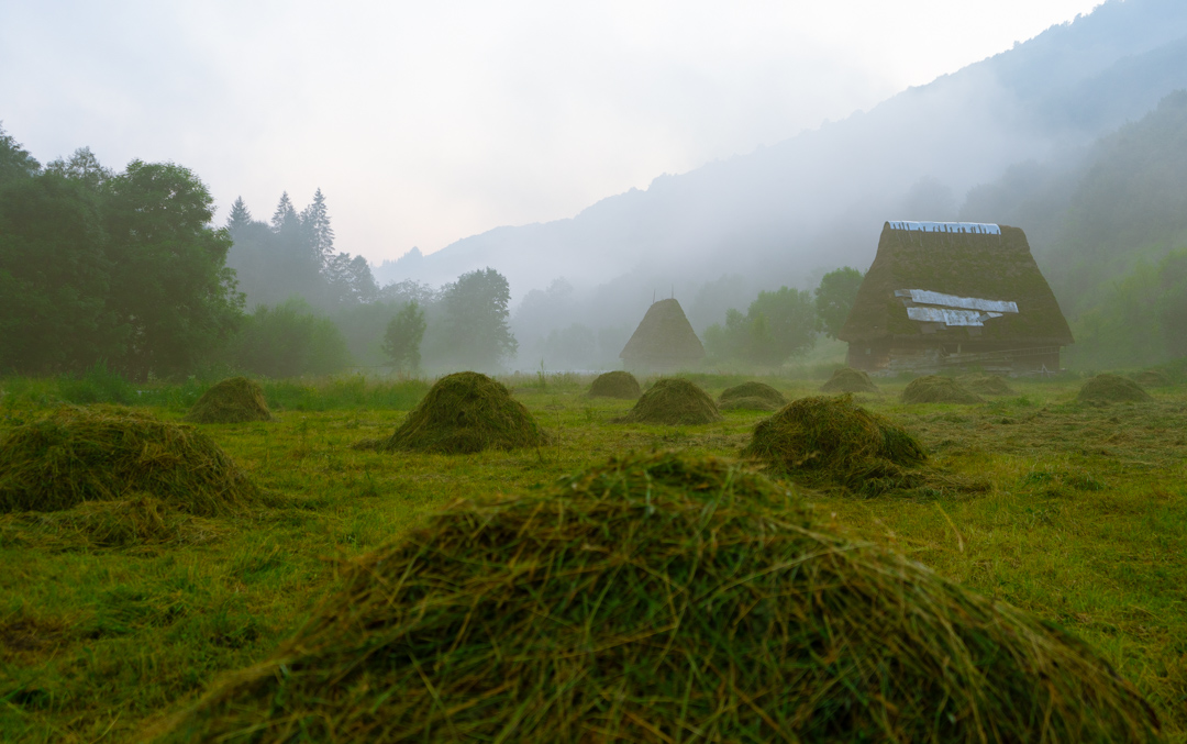 peisaje de pe transalpina de apuseni zona mogos