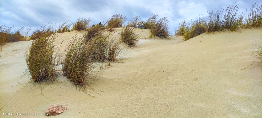 dune in elafonisos
